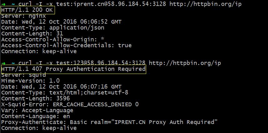 使用URL测试Squid3.5代理第一次使用一个正确的密码，第二次使用一个错误的密码